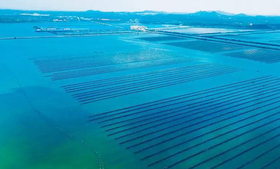 天津大学冷源监测预警浮标海试成功